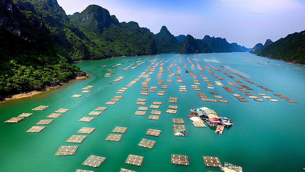 This bay offers visitors a chance to experience the untouched charm of nature away from the usual tourist crowds 